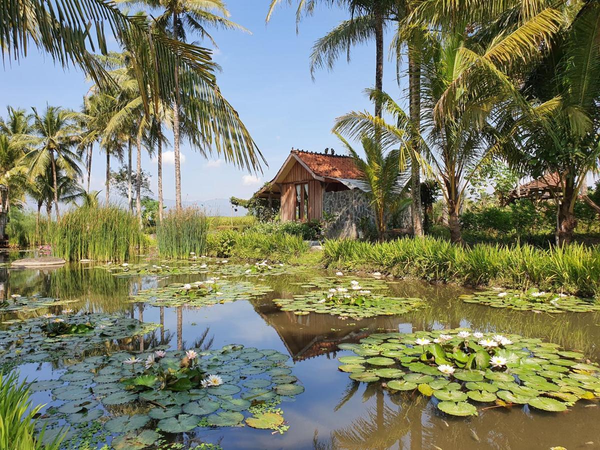 Borobudur Bed & Breakfast Магеланг Экстерьер фото