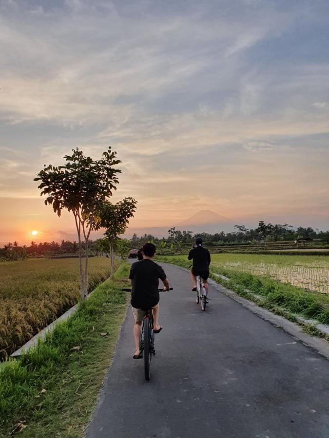 Borobudur Bed & Breakfast Магеланг Экстерьер фото