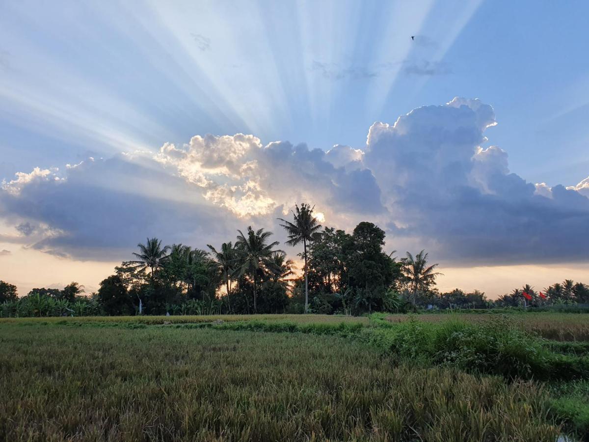 Borobudur Bed & Breakfast Магеланг Экстерьер фото