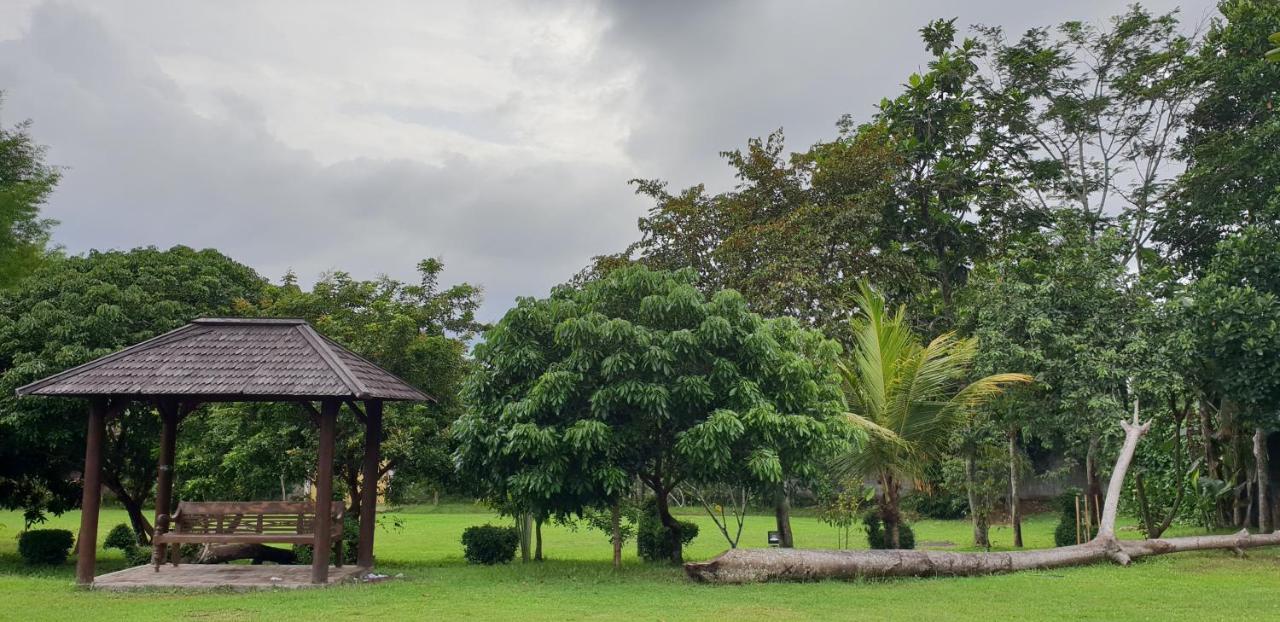 Borobudur Bed & Breakfast Магеланг Экстерьер фото